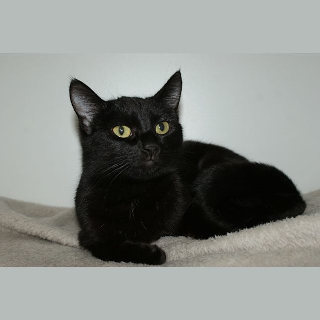Photo of Willow Sua003020