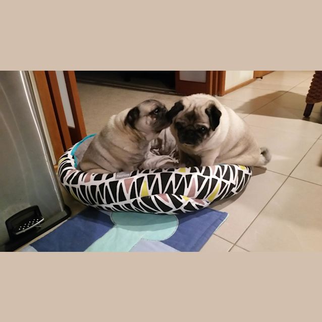 Photo of Oscar And Daisy