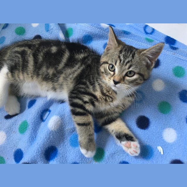 Photo of Sina