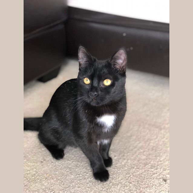 Photo of Magic With Snooky 😻