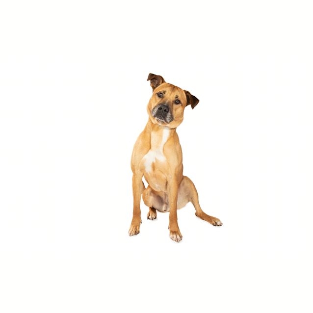 Photo of Reuben