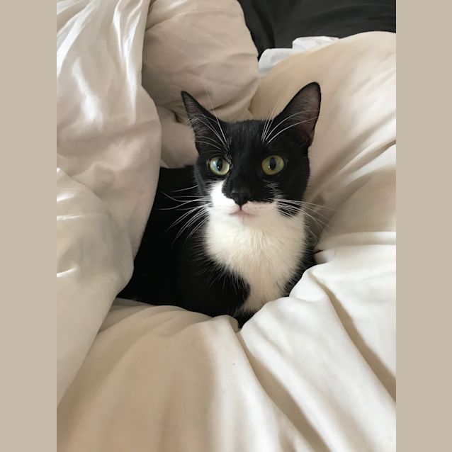 Photo of Miss Green Eyes