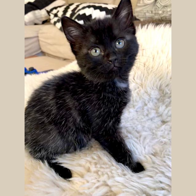 Photo of Currently Processing All Applicants