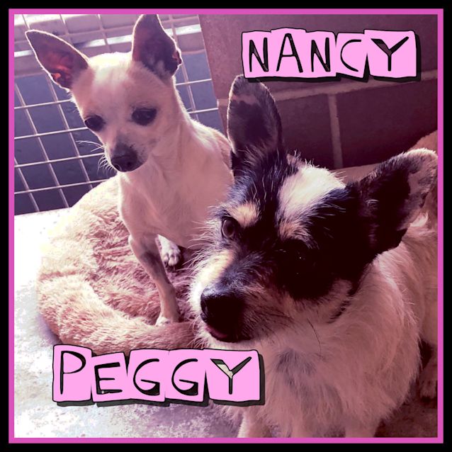 Photo of Nancy & Peggy