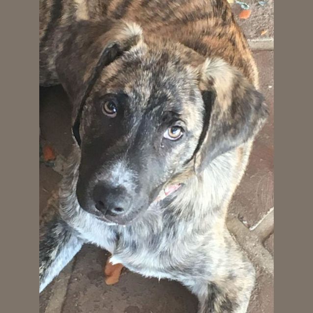 Photo of Delilah