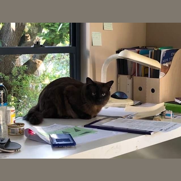 Photo of Freddie And Frankie