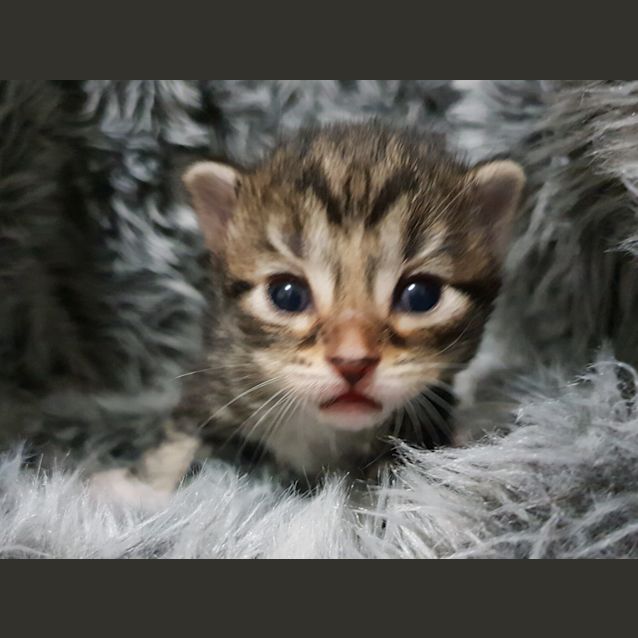 Photo of Alana