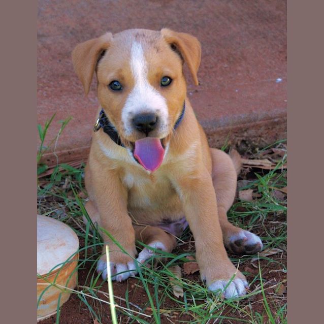 Photo of Fenway D3974