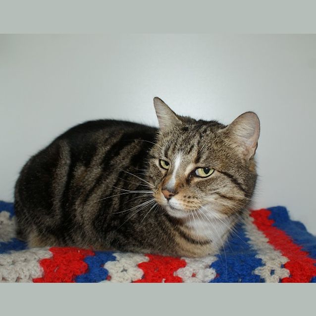 Photo of Meila Sta003010