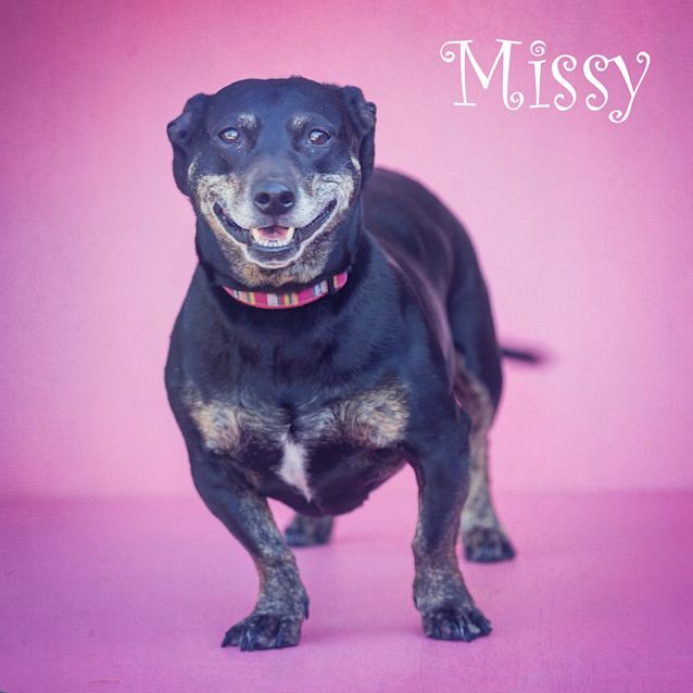 Photo of Missy