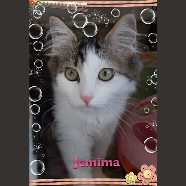Photo of Jemima 