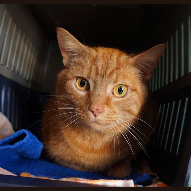 Photo of Charlie