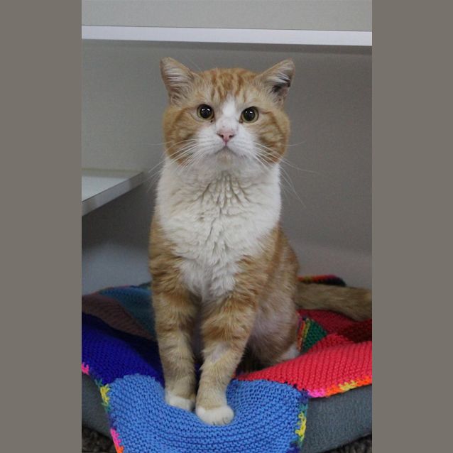 Photo of Dudley