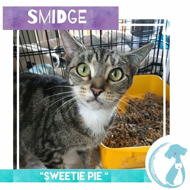 Photo of Smidge
