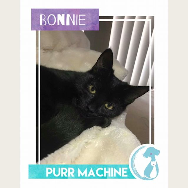 Photo of Bonnie