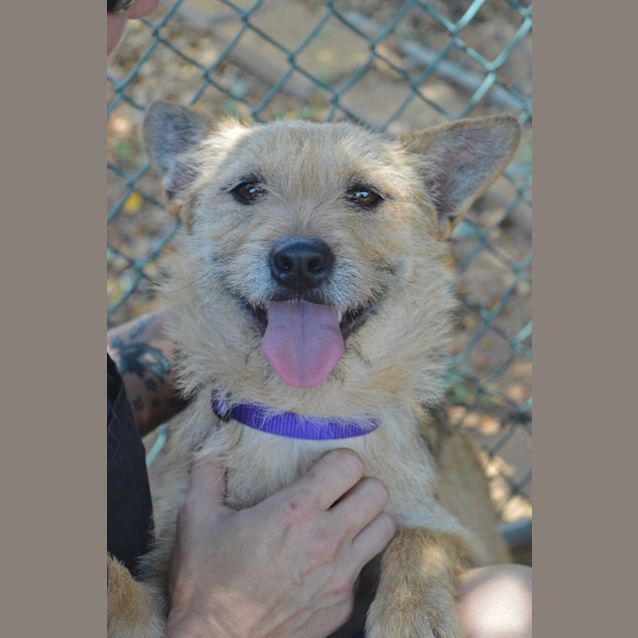Photo of Edie D3980