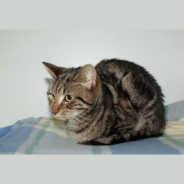 Photo of Kita Sua003062