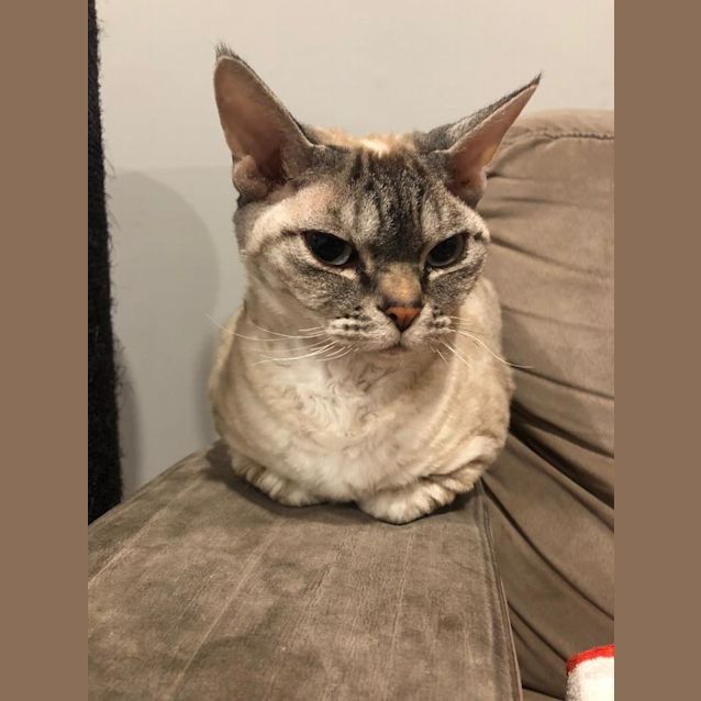 Photo of Elleanor Aka Ellie
