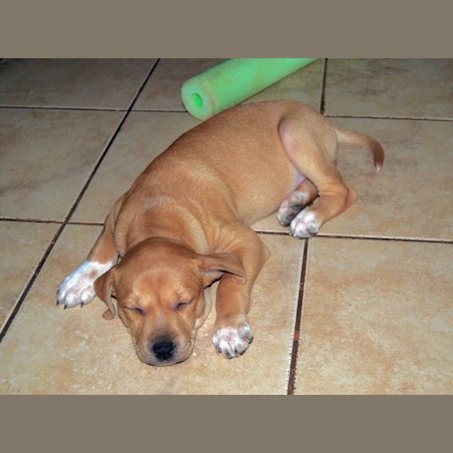 Photo of Jessie D3985