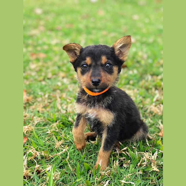 Photo of Java 