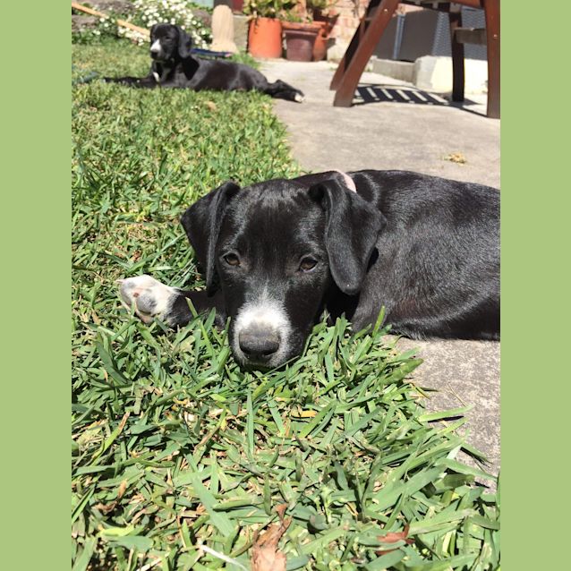 Photo of Wyatt