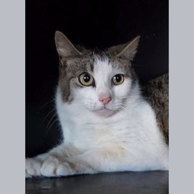 Photo of Geraldine