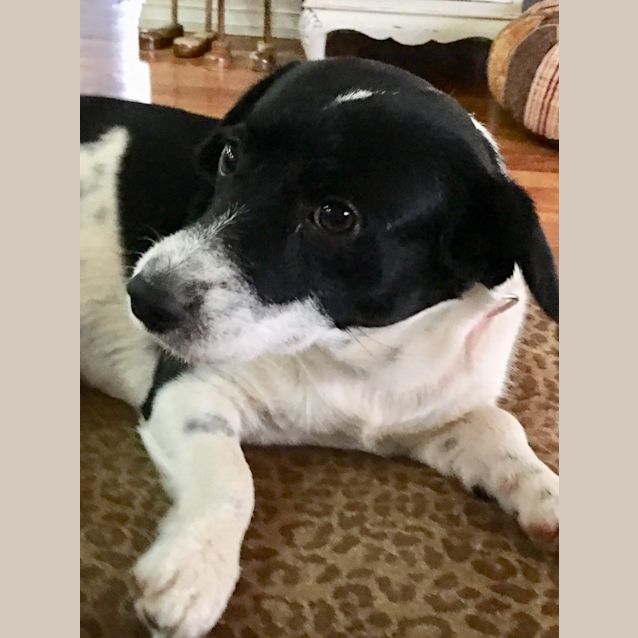 Photo of Micky Our Happy Boy