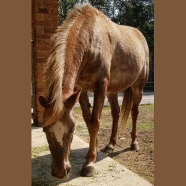 Photo of Tiny