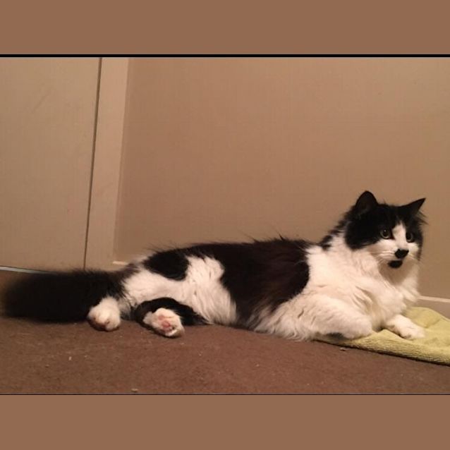 Photo of Princess