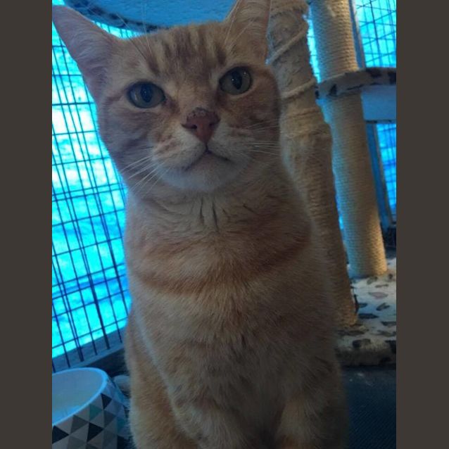 Photo of Bob