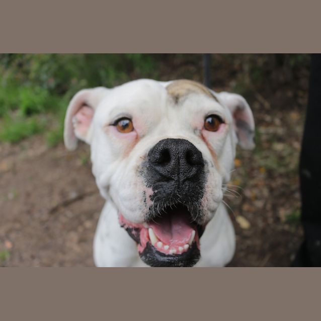 Photo of Betty