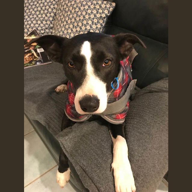 Photo of Lucy