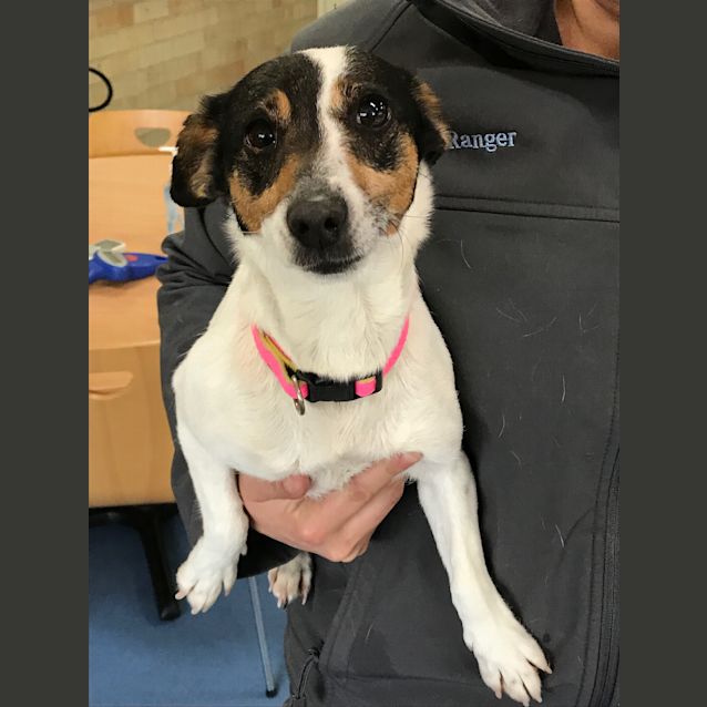 Photo of Roxie