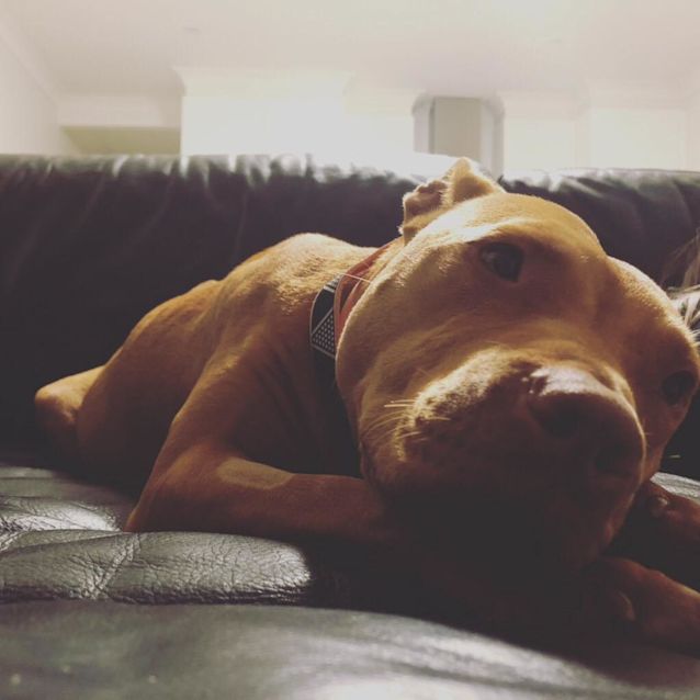 Photo of Lacey 
