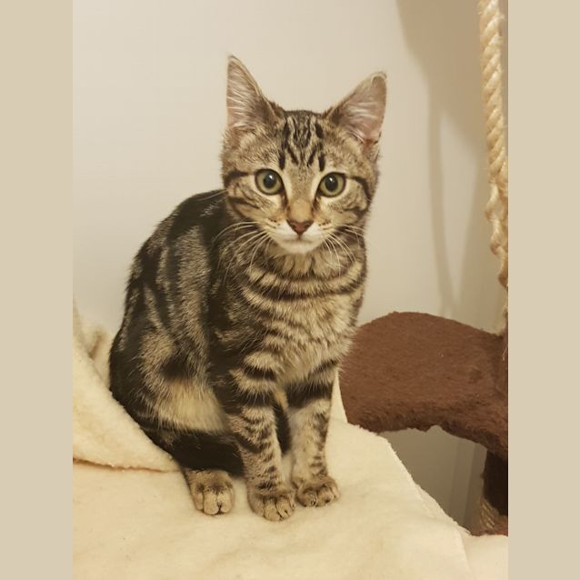 Photo of Eliza