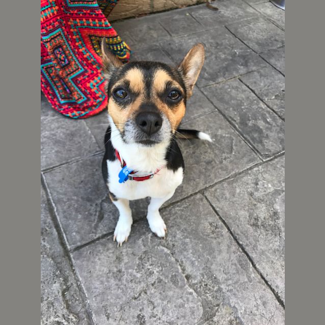 Photo of Lucy