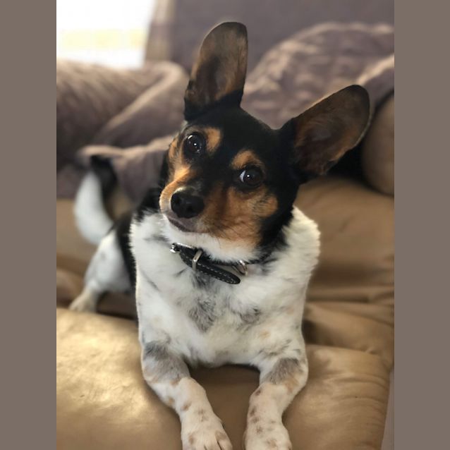 Photo of Oh Patches!! 