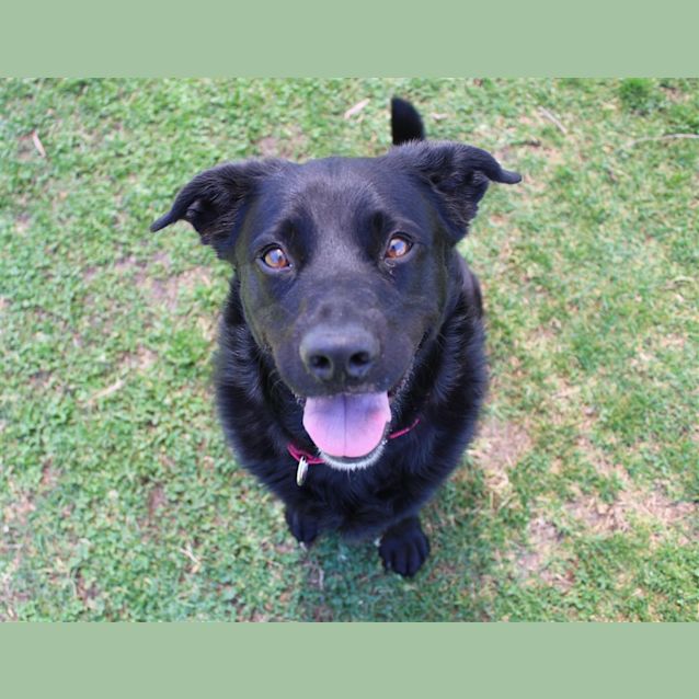 Photo of Twix