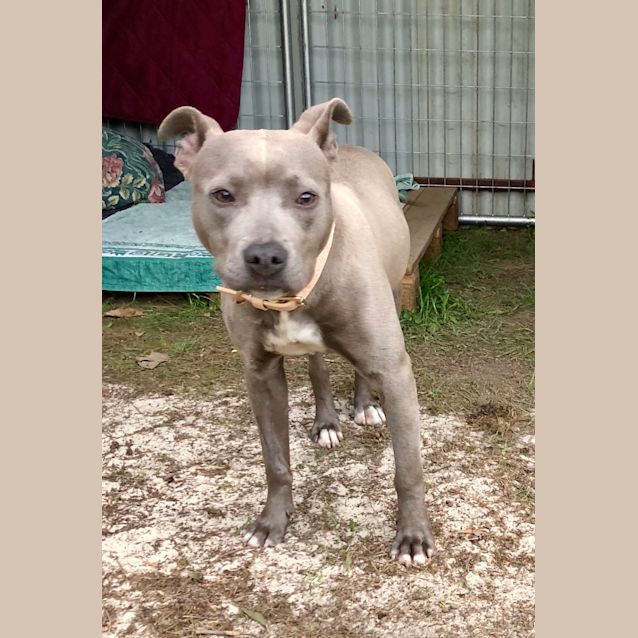 Photo of 💖Bronny💖