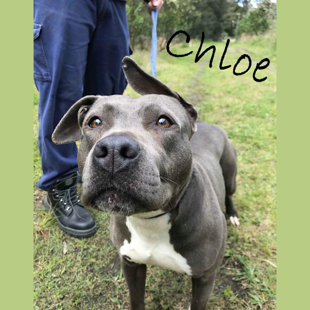 Photo of Chloe
