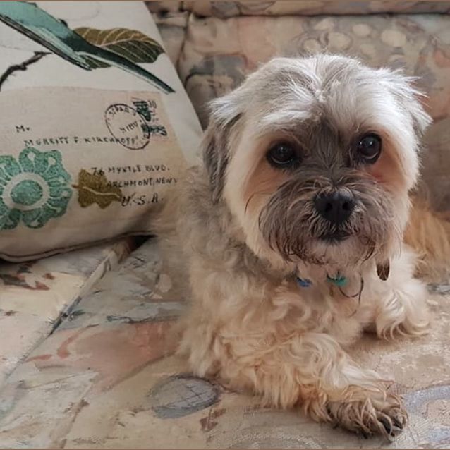 Photo of Max 