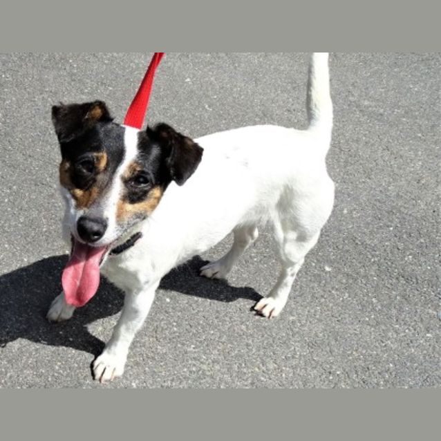 Photo of Roxie