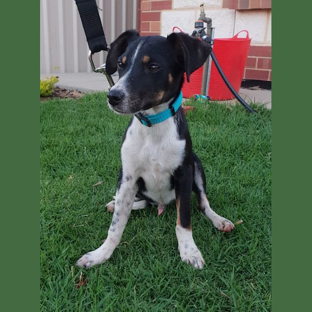 Photo of **On Trial** Jasper