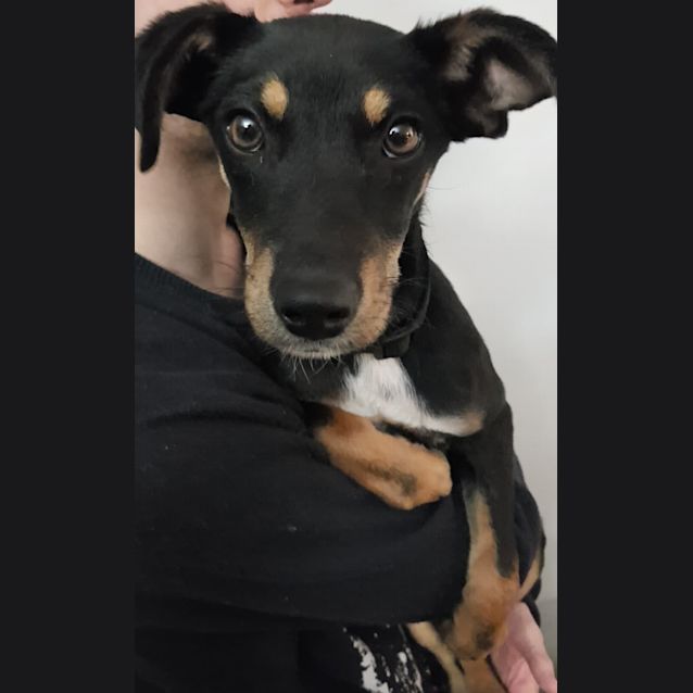 Photo of ** On Trial** Loki