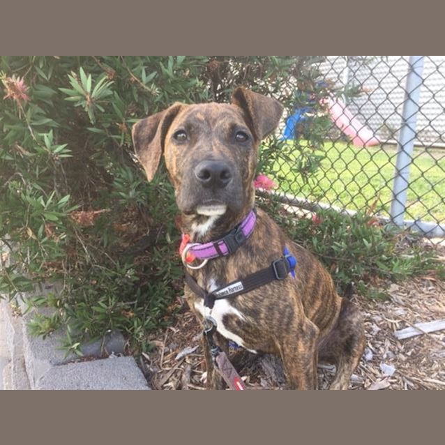 Photo of Darla