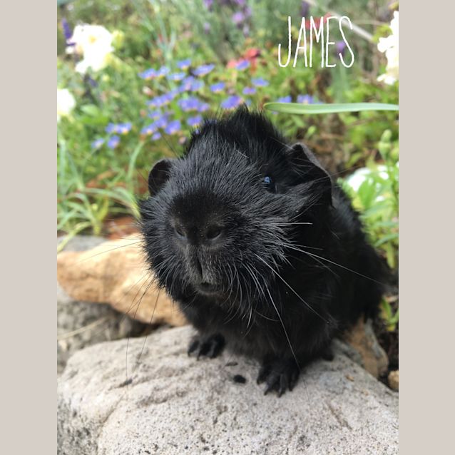 Photo of James