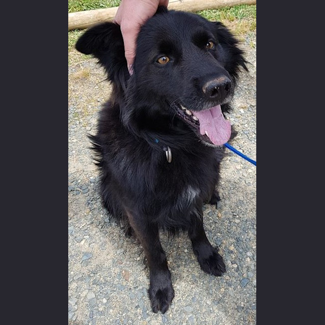 Photo of Oscar