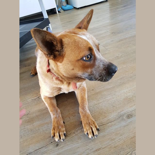 Photo of Isla