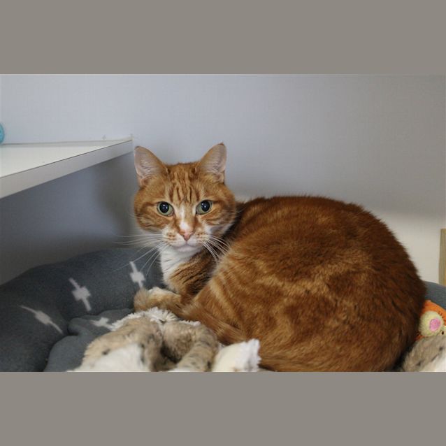 Photo of Milo
