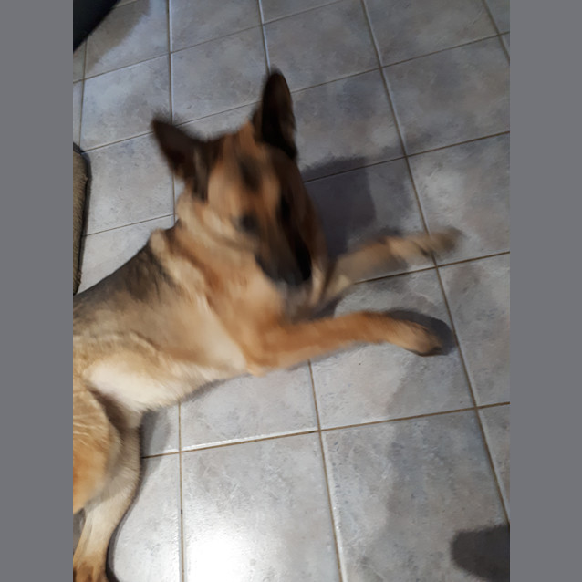 Photo of Mac   Meet And Greet Organised